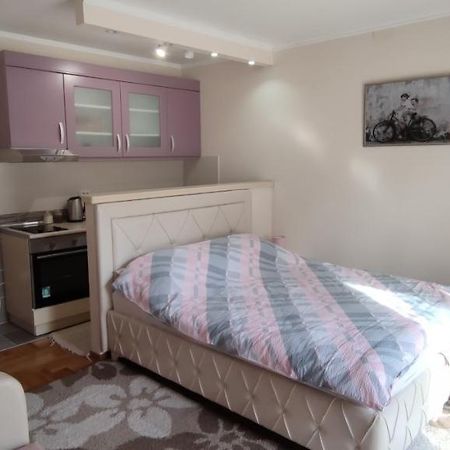 Alex 2 Apartman Vrnjačka Banja المظهر الخارجي الصورة
