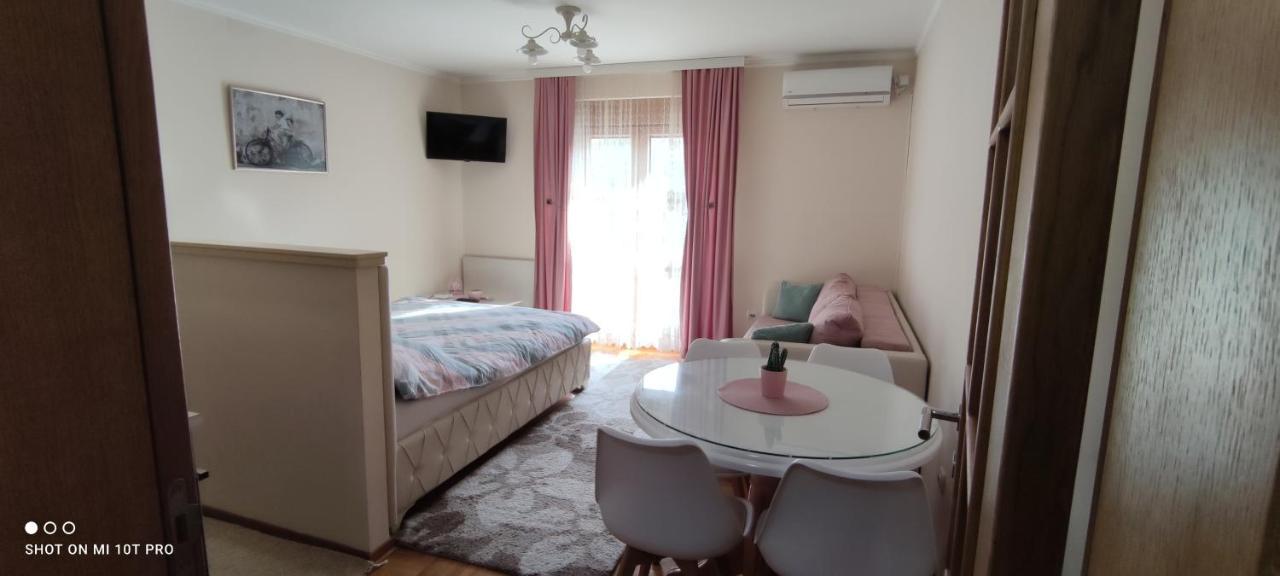 Alex 2 Apartman Vrnjačka Banja المظهر الخارجي الصورة