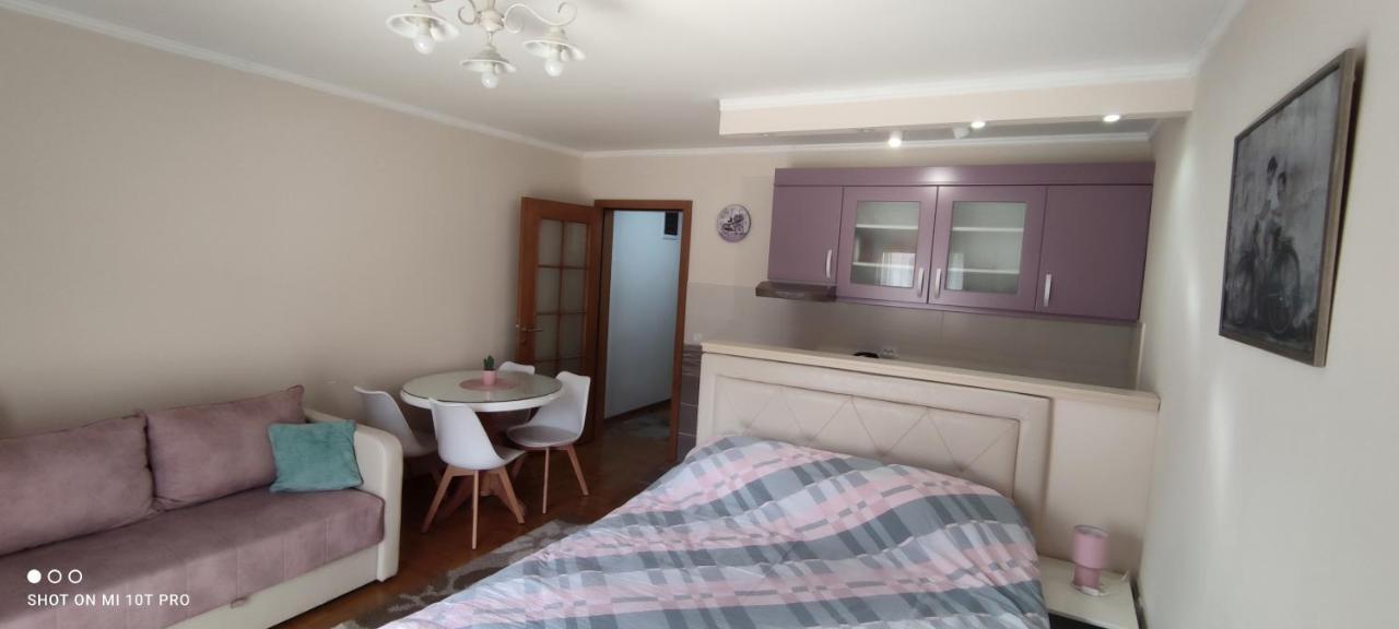 Alex 2 Apartman Vrnjačka Banja المظهر الخارجي الصورة